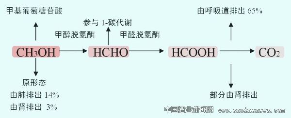 点击放大