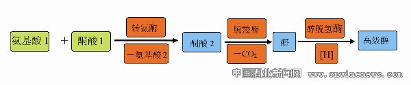 点击放大