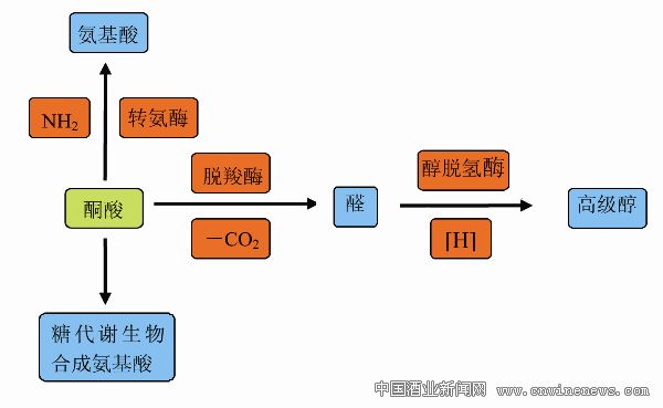 点击放大
